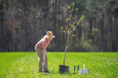 Bahçede küreği olan bir çocuk. Bahçede ağaç yetiştiren bir çocuk. Çocuk dikme ağacı. Çocuklarla bahar bahçesi. Bahçedeki çocuk sulama ağacı