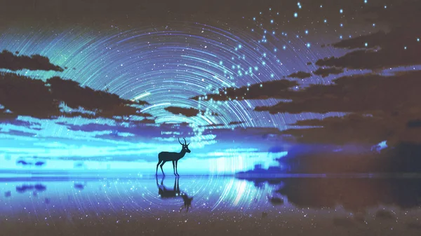 Silhouette Cerf Marchant Sur Eau Contre Ciel Nocturne Avec Lumière — Photo