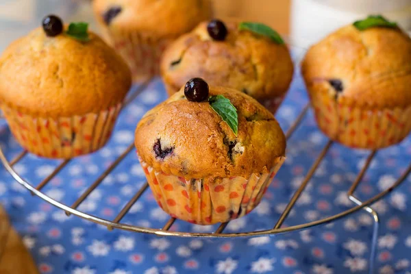 Muffins Arándanos Con Bayas Frescas Para Café — Foto de Stock