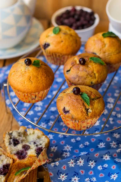 茶或咖啡用新鲜浆果的蓝莓松饼 — 图库照片
