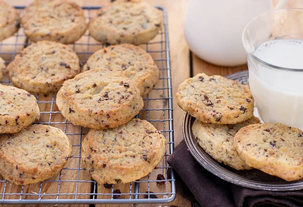 Biscoitos Coco Caseiros Doces Com Rum Passas — Fotografia de Stock