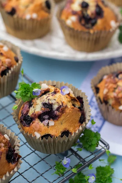 Homemade sweet blueberry muffins with nib sugar — Stock Photo, Image