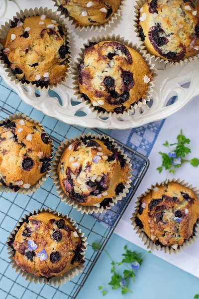 Muffins caseiros de mirtilo doce com açúcar de bico — Fotografia de Stock