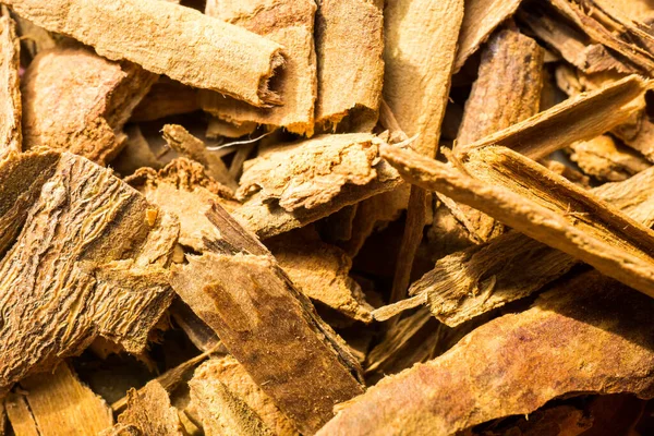 Tarçın makro ağaç dokusu ağaç konseptini kesti 