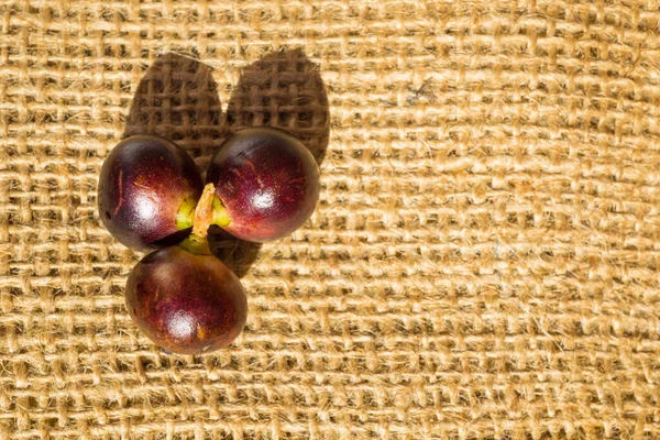 Korozo meyvesi kırsal arka planda izole edilmiş tropikal meyveler 