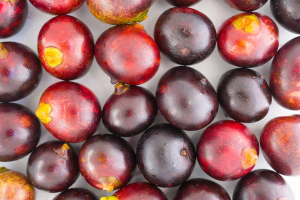 Beyaz zemin üzerinde izole edilmiş korozo olgun tropikal egzotik meyve Bactris ginineensis