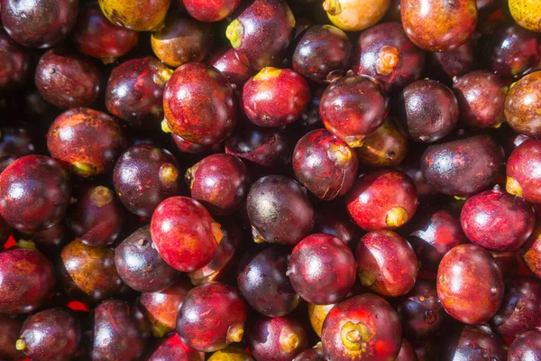 Corozo olgun meyve demeti arka plan egzotik tropikal meyveler izole 