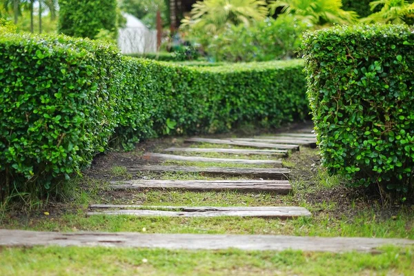 Ein Fußweg Einem Garten Mit Gut Beschnittenen Sträuchern Entlang Der — Stockfoto