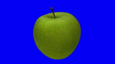 Mavi arka planda dönen yeşil bir Granny Smith elmasının gerçekçi canlandırması. Video kusursuz bir şekilde döngüye giriyor ve 3D nesne gerçek bir elmadan taranıyor..