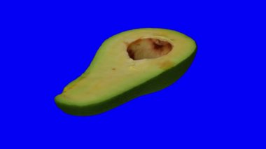 Mavi arka planda dönen yeşil Florida avokadosunun (ikiye bölünmüş) gerçekçi canlandırması. Video kusursuz bir şekilde döngüye giriyor ve nesne gerçek bir avokadodan 3D taranıyor..