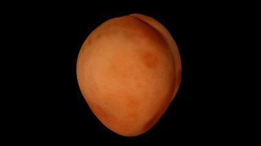 Siyah arka planda dönen bir kayısı için gerçekçi bir canlandırma. Video kusursuz bir şekilde döngüye giriyor ve 3D nesne gerçek bir kayısıdan taranıyor..