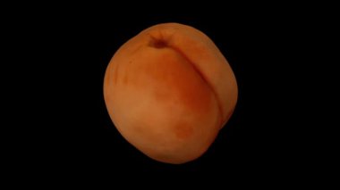 Siyah arka planda dönen bir kayısı için gerçekçi bir canlandırma. Video kusursuz bir şekilde döngüye giriyor ve 3D nesne gerçek bir kayısıdan taranıyor..