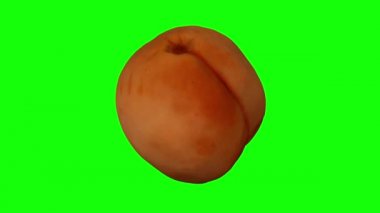 Yeşil arka planda dönen bir kayısı için gerçekçi bir canlandırma. Video kusursuz bir şekilde döngüye giriyor ve 3D nesne gerçek bir kayısıdan taranıyor..