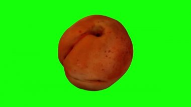 Yeşil arka planda dönen bir kayısı için gerçekçi bir canlandırma. Video kusursuz bir şekilde döngüye giriyor ve 3D nesne gerçek bir kayısıdan taranıyor..