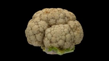 Siyah arka planda dönen bir karnabahar başlığının gerçekçi canlandırması. Video kusursuz bir şekilde döngüye giriyor ve nesne gerçek bir karnabahar tarafından taranıyor..