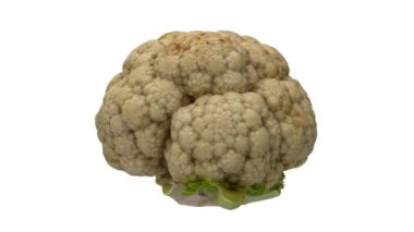 Beyaz arka planda dönen karnabahar başlığının gerçekçi bir canlandırması. Video kusursuz bir şekilde döngüye giriyor ve nesne gerçek bir karnabahar tarafından taranıyor..