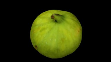 Siyah arka planda dönen yeşil bir kalimyrna incirinin gerçekçi canlandırması. Video kusursuz bir şekilde döngüye giriyor ve nesne gerçek bir incirden 3D taranıyor..