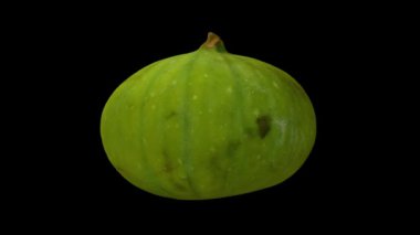 Siyah arkaplandaki yarı yeşil kalimyrna incirinin gerçekçi bir canlandırması. Video kusursuz bir şekilde döngüye giriyor ve nesne gerçek bir incirden 3D taranıyor..