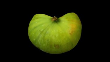 Siyah arkaplandaki yarı yeşil kalimyrna incirinin gerçekçi bir canlandırması. Video kusursuz bir şekilde döngüye giriyor ve nesne gerçek bir incirden 3D taranıyor..