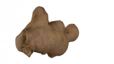 Beyaz arka planda dönen taze zencefil kökünün gerçekçi bir canlandırması. Video pürüzsüz bir şekilde döngüye giriyor ve nesne gerçek bir zencefil rhizomu tarafından 3D taranıyor..