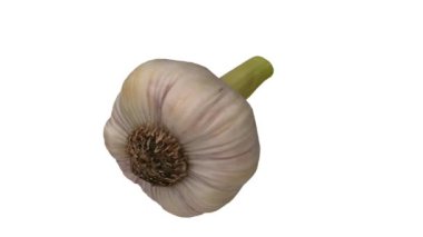 Beyaz arka planda dönen taze sarımsağın gerçekçi bir canlandırması. Video pürüzsüz bir şekilde döngüye giriyor ve obje gerçek bir sarımsak başından 3D taramayla taranıyor..