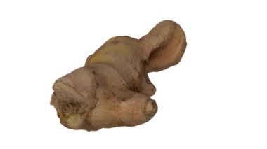 Beyaz arka planda dönen taze zencefil kökünün gerçekçi bir canlandırması. Video pürüzsüz bir şekilde döngüye giriyor ve nesne gerçek bir zencefil rhizomu tarafından 3D taranıyor..