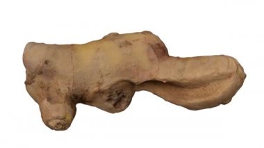 Beyaz arka planda dönen taze zencefil kökünün gerçekçi bir canlandırması. Video pürüzsüz bir şekilde döngüye giriyor ve nesne gerçek bir zencefil rhizomu tarafından 3D taranıyor..