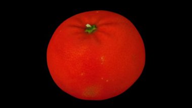 Siyah zemin üzerinde dönen bir mandalina portakalının (Clementine çeşidi) gerçekçi canlandırması. Video kusursuz bir şekilde döngüye giriyor ve nesne gerçek bir meyveden 3D taranıyor..