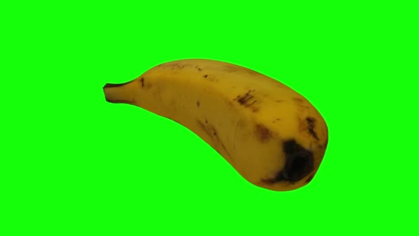 Realistic Render Rotating Banana Cavendish Variety Green Background Video Seamlessly — Stock Video