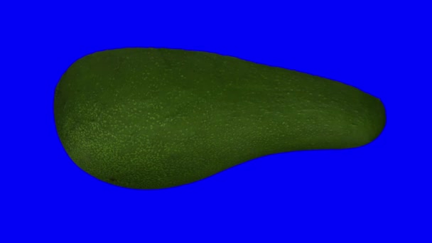 青い背景に回転する緑のフロリダアボカド ピットの半分にカット の現実的なレンダリング オブジェクトは本物のアボカドから3Dスキャンされます — ストック動画