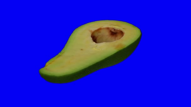 Реалістичне Зображення Обертового Зеленого Авокадо Флориди Розрізання Навпіл Синьому Тлі — стокове відео