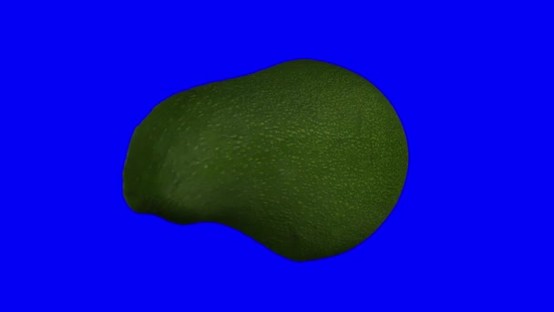 Реалистичный Рендеринг Вращающегося Зелёного Авокадо Флориды Разрезанного Пополам Синем Фоне — стоковое видео
