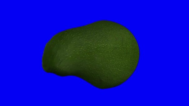 Realistische Weergave Van Een Draaiende Groene Florida Avocado Doormidden Gesneden — Stockvideo