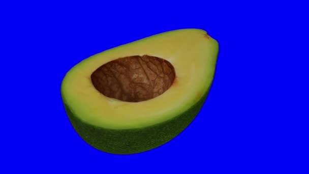 Realista Renderizado Aguacate Verde Giratorio Florida Cortado Por Mitad Sobre — Vídeos de Stock