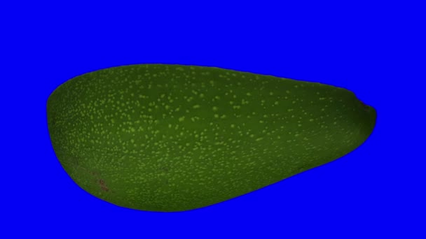 Realistic Render Rotating Green Florida Avocado Cut Half Blue Background — Stock Video