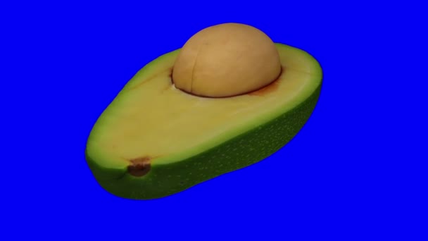 Реалістичне Зображення Обертового Зеленого Авокадо Флориди Розріджене Навпіл Ямою Синьому — стокове відео