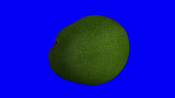 Rendering Realistico Avocado Verde Florida Rotante Tagliato Metà Con Fossa — Video Stock