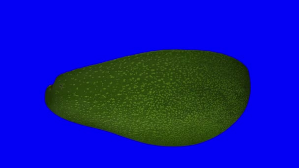 Realistische Weergave Van Een Draaiende Groene Florida Avocado Doormidden Gesneden — Stockvideo