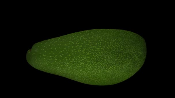 现实地渲染一个旋转绿色佛罗里达鳄梨 切成两半与坑 的黑色背景 视频是无缝循环的 对象是三维扫描从一个真正的鳄梨 — 图库视频影像