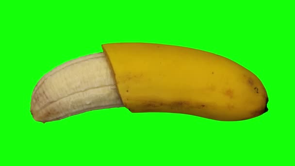 緑色の背景に回転する半分皮をむいたバナナ Cavendish Variety の現実的なレンダリング オブジェクトは本物のバナナから3Dスキャンされます — ストック動画