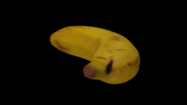 在黑色背景上的旋转香蕉 卡文迪许品种 的真实感渲染 视频是无缝循环的 物体是由一个真正的香蕉3D扫描的 — 图库视频影像