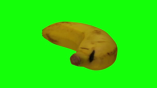 緑の背景に回転バナナ Cavendish Variety の現実的なレンダリング オブジェクトは本物のバナナから3Dスキャンされます — ストック動画