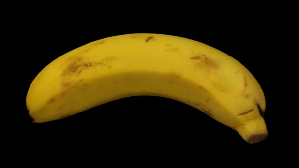 Renderização Realista Uma Banana Rotativa Variedade Cavendish Fundo Preto Vídeo — Vídeo de Stock