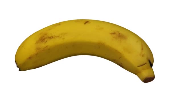 Rendering Realistico Una Banana Rotante Varietà Cavendish Sfondo Bianco Video — Video Stock