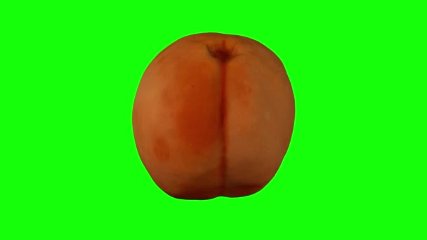 现实地渲染绿色背景下的旋转杏仁 视频是无缝循环的 3D对象从一个真正的杏仁中扫描 — 图库视频影像