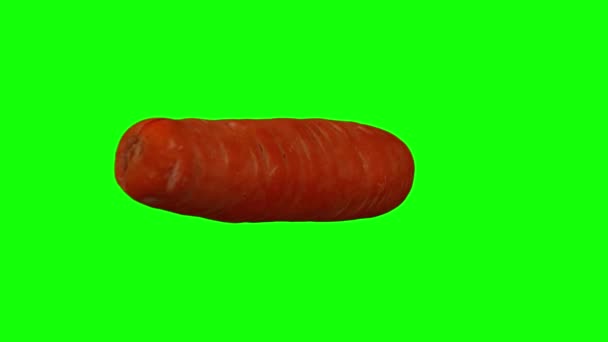 Rendering Realistico Una Carota Rotante Sfondo Verde Video Perfettamente Loop — Video Stock