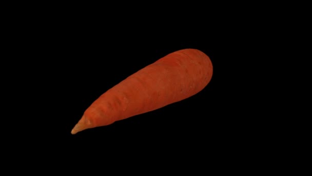 在黑色背景上的旋转胡萝卜的真实感渲染 视频是无缝的循环 对象是三维扫描从一个真正的胡萝卜 — 图库视频影像