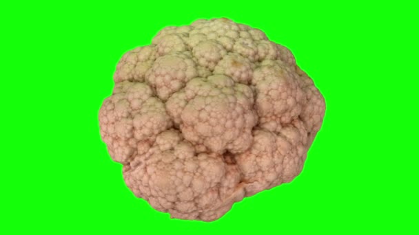 Realista Renderizado Una Cabeza Coliflor Giratoria Sobre Fondo Verde Vídeo — Vídeos de Stock