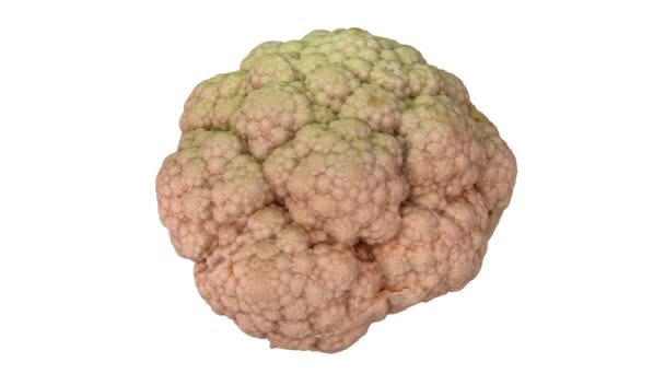 Realistic Render Rotating Cauliflower Head White Background Video Seamlessly Looping — Stock Video