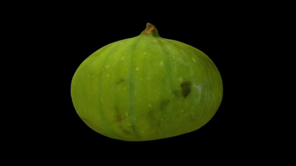 Reproduction réaliste d'une figue de calimyrne demi-verte tournante sur fond noir. La vidéo est parfaitement en boucle, et l'objet est scanné en 3D à partir d'une vraie figue .